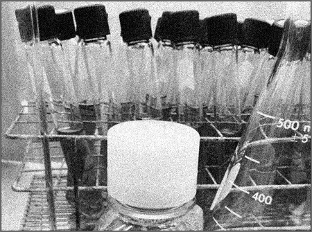 Fetal Bovine Serum newsprint photo